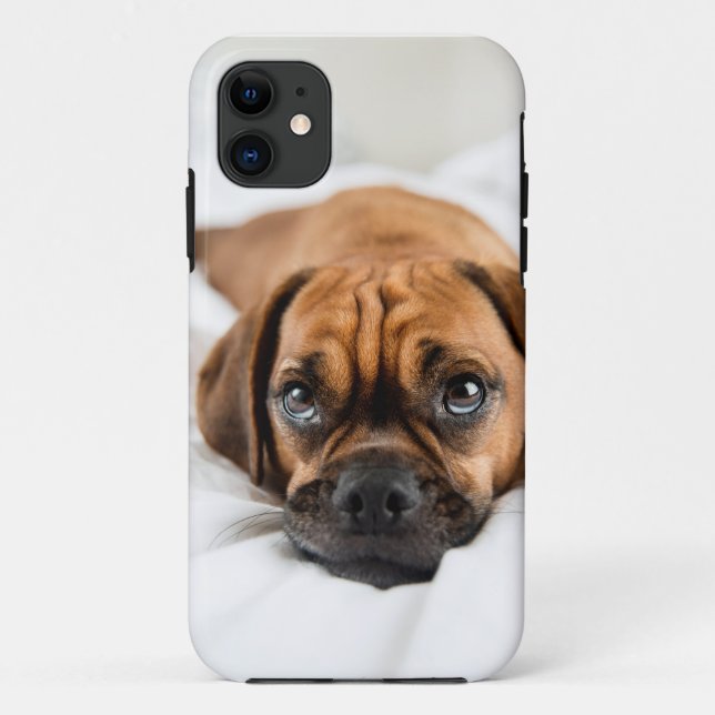 Cute Puggle Dog Case (Back)