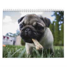 Cute Pugs Dogs Calendar - Customisable