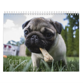 Cute Pugs Dogs Calendar - Customisable