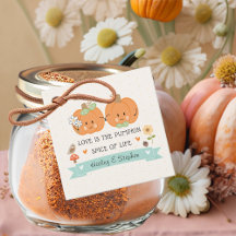 Cute Pumpkin Couples Shower and Wedding
