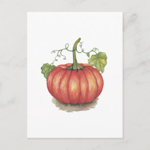 Cute Pumpkin With Vines In Watercolor Postcard