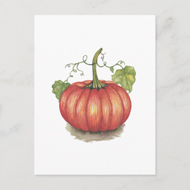 Cute Pumpkin With Vines In Watercolor Postcard (Front)