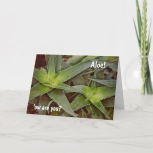 Cute Pun Cactus Aloe Hello Thinking of You Card