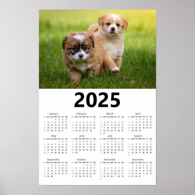 Cute Puppies 2025 Calendar  Poster (Front)