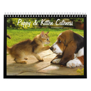 Cute Puppies and Kittens 2018 Calendar