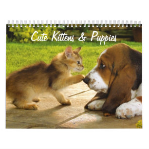 Cute Puppies and Kittens Calendar