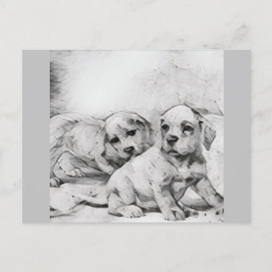 Cute puppies, black and white postcard