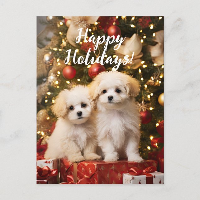Cute Puppies Dogs Happy Holidays Christmas Postcard (Front)