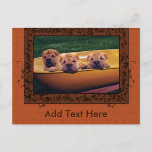 Cute Puppies Greetings Postcard