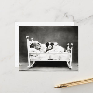 Cute Puppies in Bed Postcard