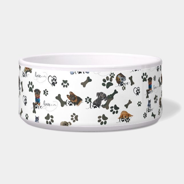 Cute puppies pet collar (Front)