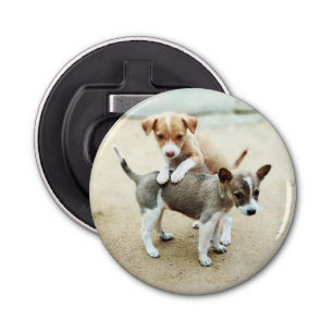 Cute Puppies Playing on Beach Bottle Opener
