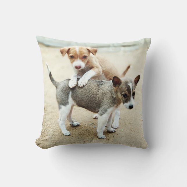 Cute Puppies Playing on Beach Cushion (Front)