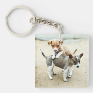 Cute Puppies Playing on Beach Key Ring