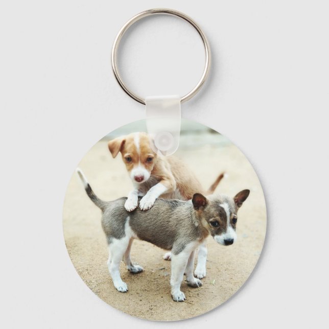 Cute Puppies Playing on Beach Key Ring (Front)