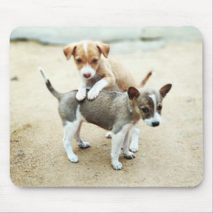 Cute Puppies Playing on Beach Mouse Pad