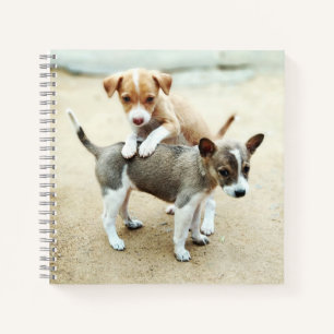 Cute Puppies Playing on Beach Notebook