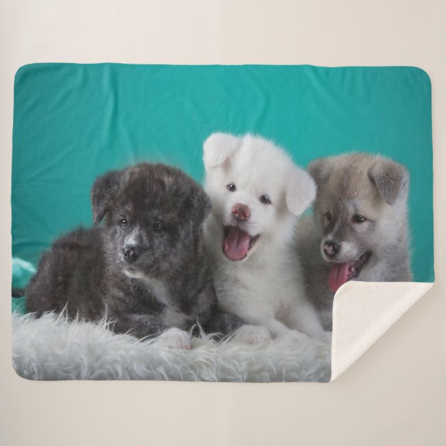 Cute Puppies Sherpa Blanket (Front (Horizontal))
