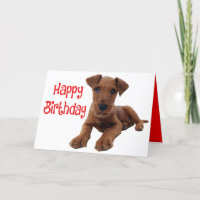 Cute Puppy Airedale Terrier Dog Birthday