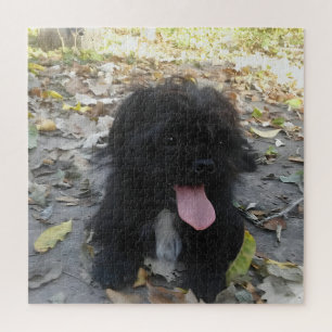 Cute Puppy Alert Jigsaw Puzzle
