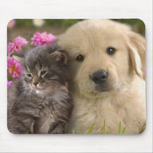 Cute Puppy and Kitten Mouse Pad