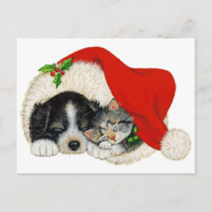 Cute Puppy And Kitten Sleep In A Santa Hat Holiday Postcard
