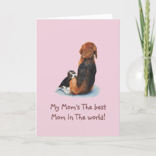Cute puppy beagle cuddling mum dog with verse card