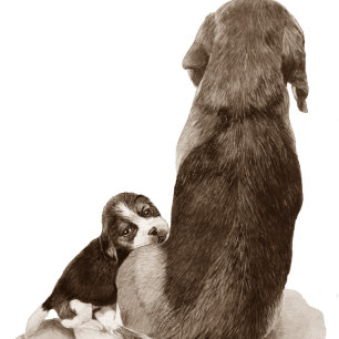 Cute puppy beagle with mum dog realist art card