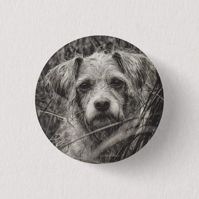 Cute Puppy Black and Whie Portrait Photograph 3 Cm Round Badge (Front)
