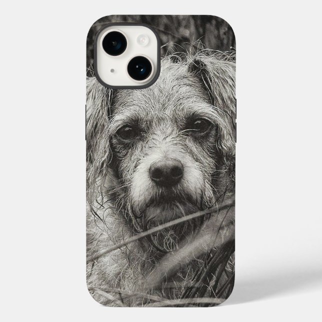 Cute Puppy Black and Whie Portrait Photograph Case-Mate iPhone Case (Back)