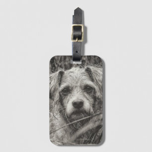 Cute Puppy Black and Whie Portrait Photograph Luggage Tag