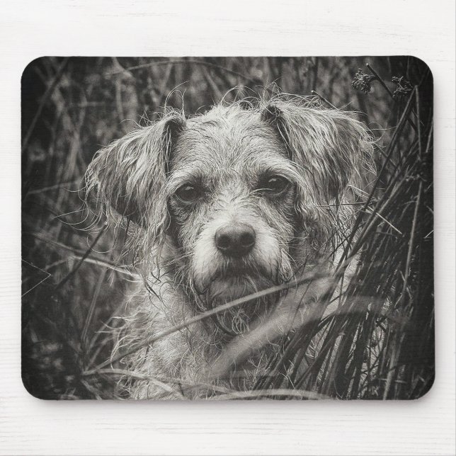 Cute Puppy Black and Whie Portrait Photograph Mouse Pad (Front)