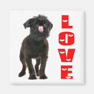 Cute Puppy Black Dog Lovers Brussels Griffon Magnet