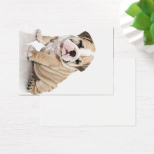Cute Puppy Bulldog Sad
