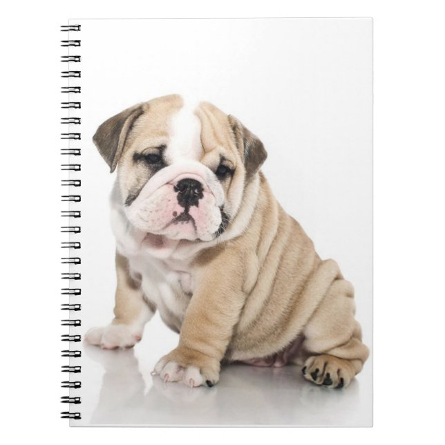 Cute Puppy Bulldog Sad Notebook (Front)