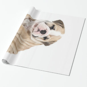 Cute Puppy Bulldog Sad Wrapping Paper