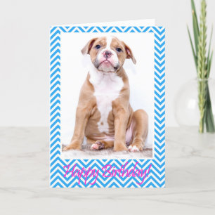 Cute Puppy Bulldog Sitting Happy Birthday Card