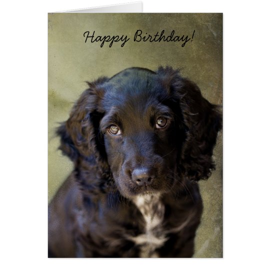 Cute Puppy card