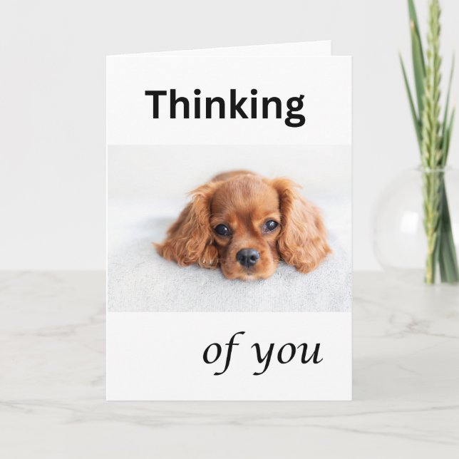 Cute puppy card, Thinking of you, Cavalier dog Card (Front)