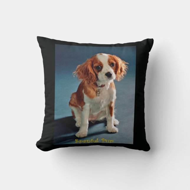 Cute Puppy Charles ~ Cavalier King Spaniel ~ & ~ Cushion (Front)
