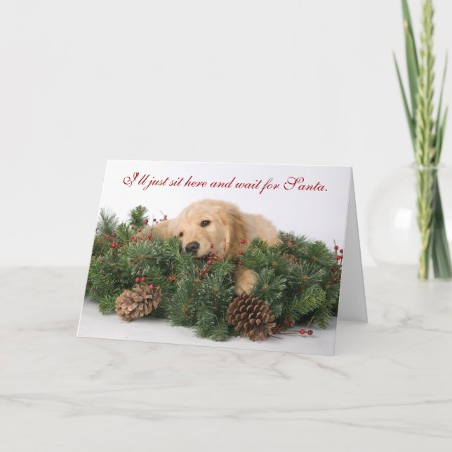 Cute Puppy Christmas card (Front)