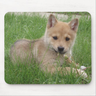 Cute Puppy Computer Mousepad