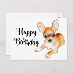 Cute Puppy Dog Funny Chihuahua Birthday  Postcard