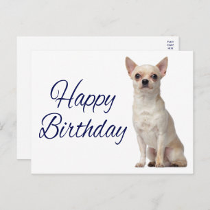 Cute Puppy Dog Funny Chihuahua Birthday  Postcard