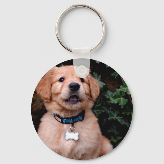 Cute puppy dog Golden Retriever Puppy Key Ring (Front)