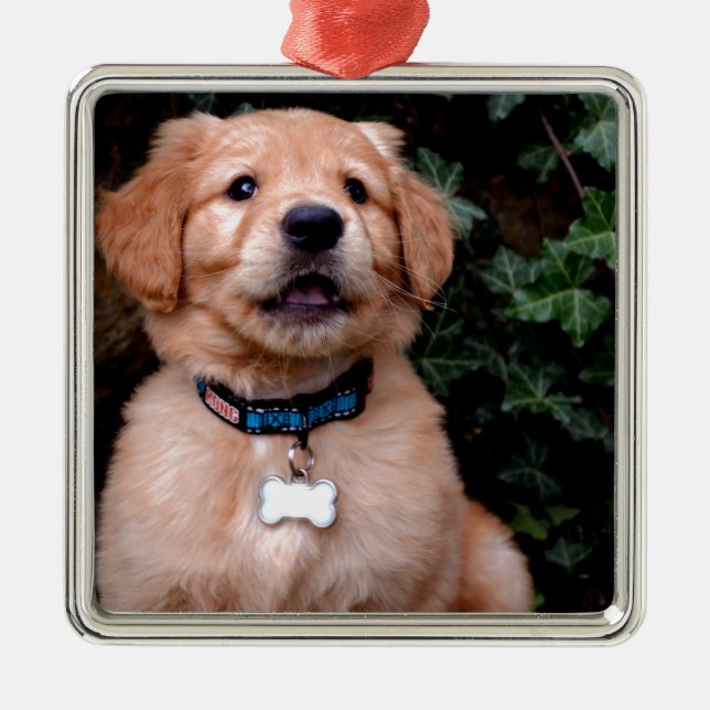Cute puppy dog Golden Retriever Puppy Metal Ornament (Front)