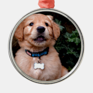 Cute puppy dog Golden Retriever Puppy Metal Tree Decoration