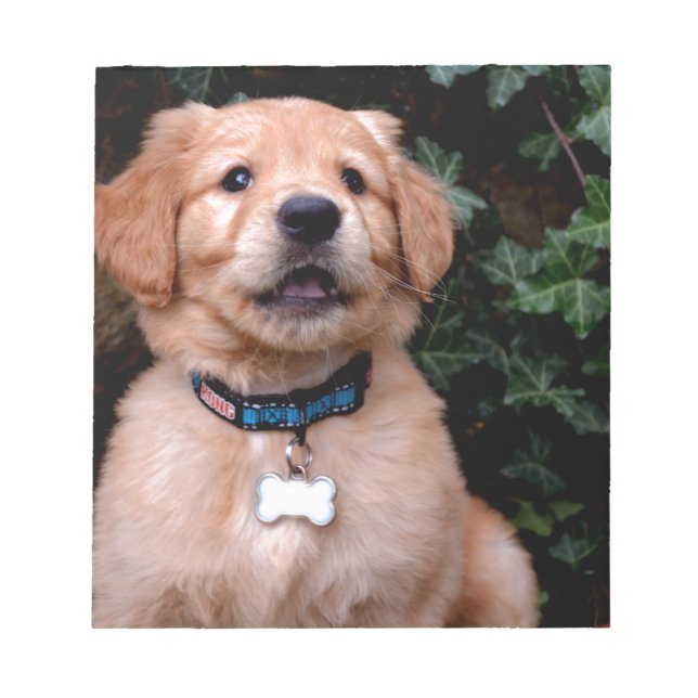 Cute puppy dog Golden Retriever Puppy Notepad (Front)