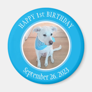 Cute Puppy Dog in Blue Scarf Happy 1st Birthday Magnet