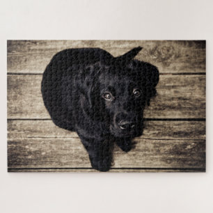 Cute Puppy Dog Jigsaw Puzzle